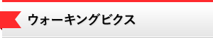 ウォーキングビクス