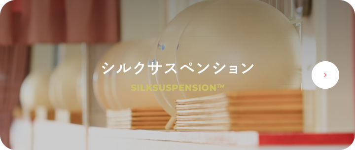 シルクサスペンション